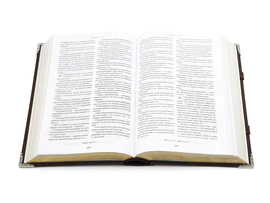 The Ark Bible